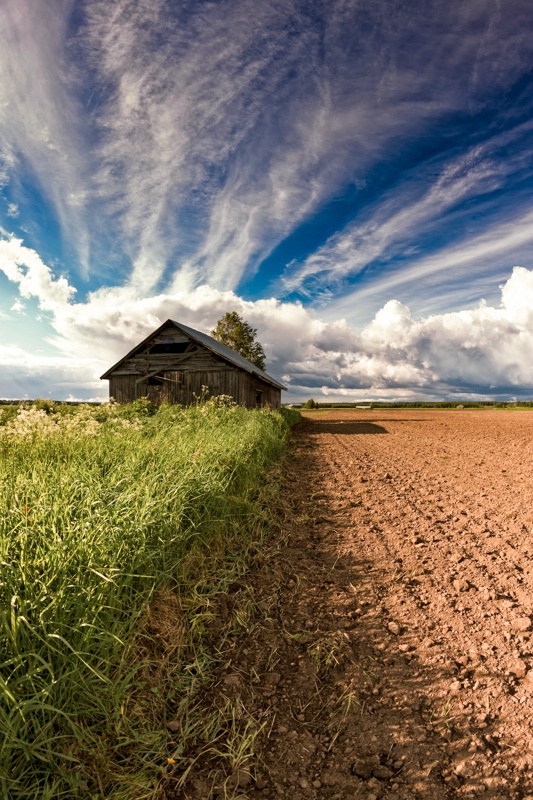 Old Barn On The Fields Edge