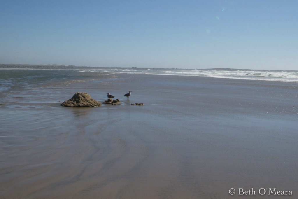 Seagulls and Sand castles