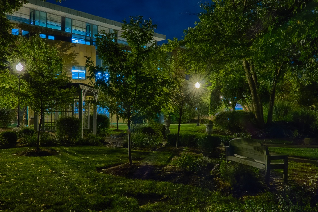 After Midnight Behind the Library - HDR