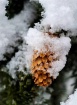 Winter in Colorad...