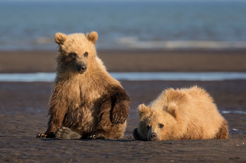 Sitting Around - ID: 15434127 © Louise Wolbers