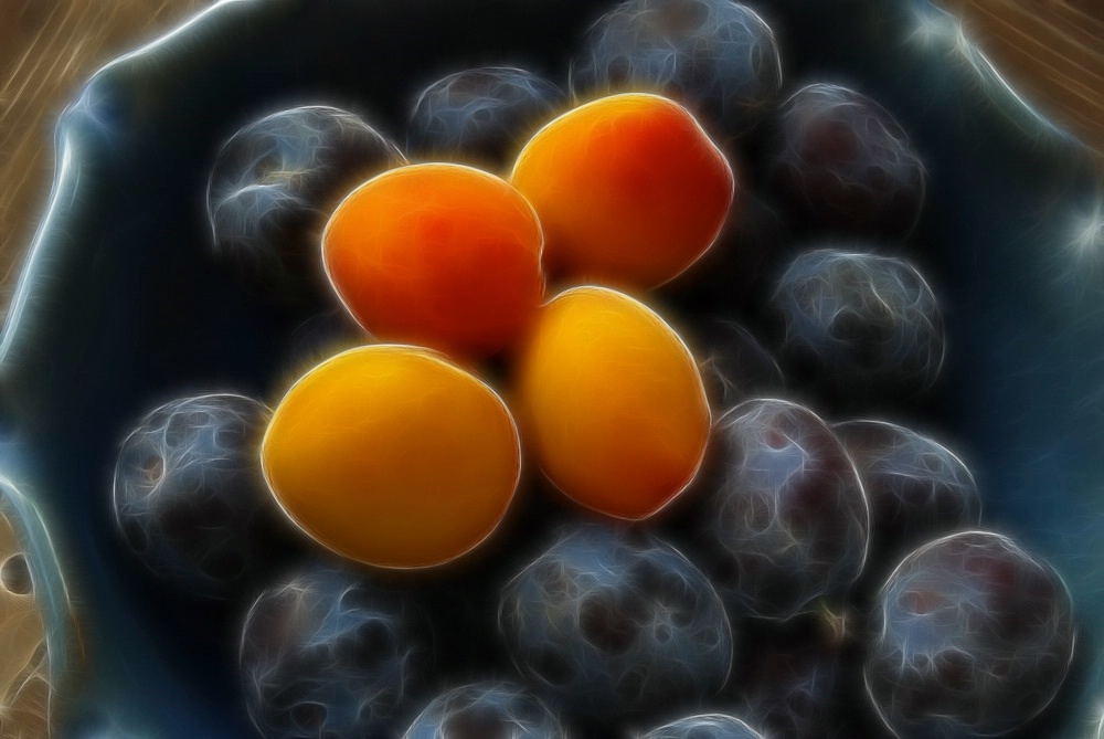 Apricots and Plums