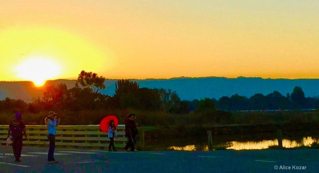 Sunset - Red Umbrella - ID: 15434383 © Alice Kozar