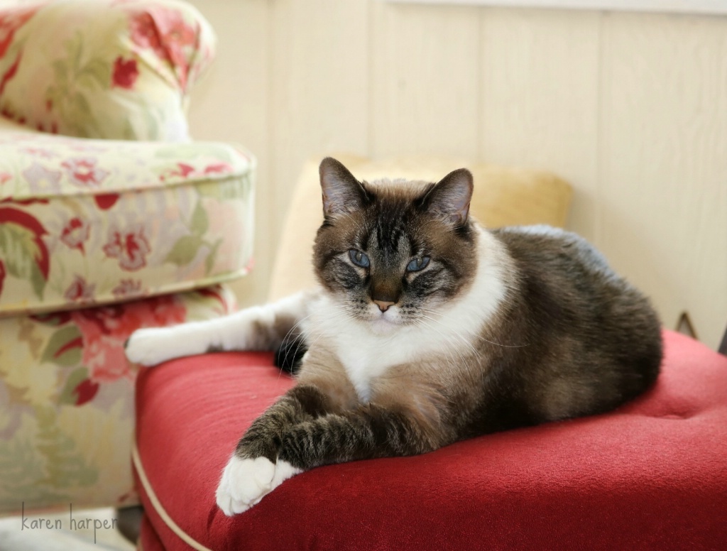 Angel on the Ottoman