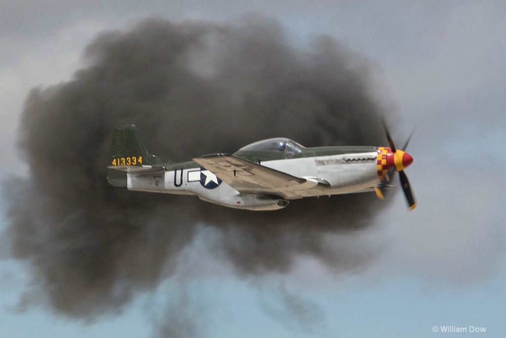 W5A7416c - ID: 15436061 © William Dow