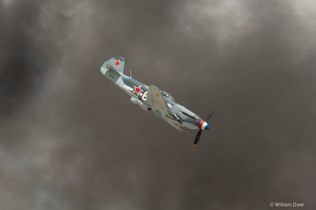 W5A7438c - ID: 15436063 © William Dow