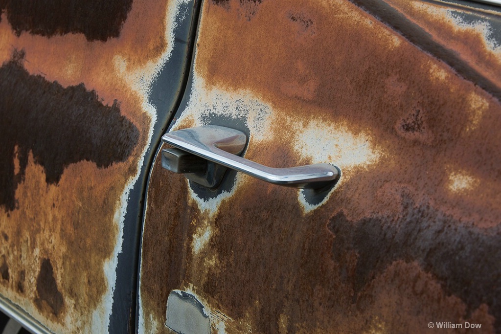 J7A0275 - ID: 15436087 © William Dow