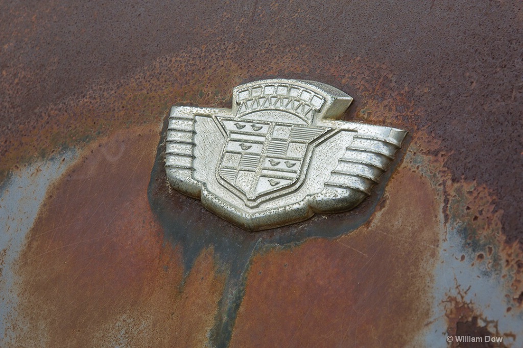 J7A0294 - ID: 15436092 © William Dow