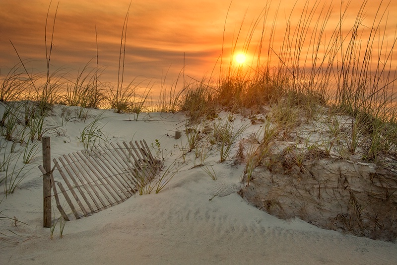 Beach Sunset