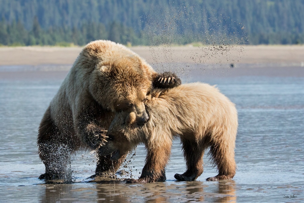 Don't Upset Mum - ID: 15442080 © Louise Wolbers