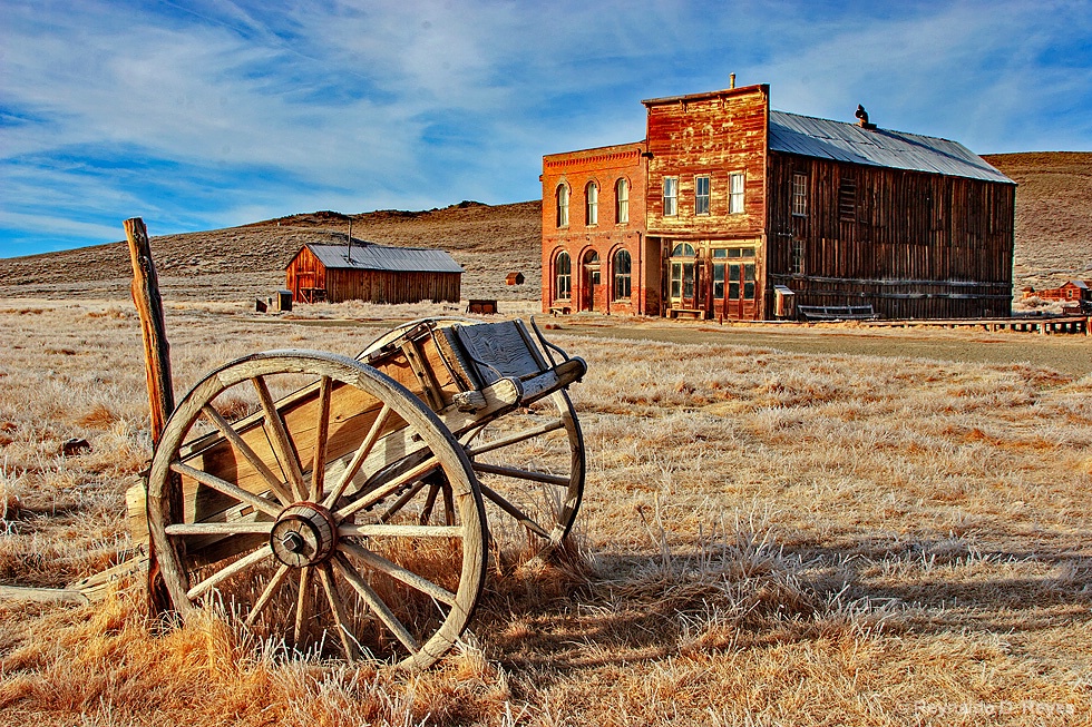 Bodie-Cart (Resubmit)