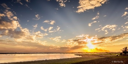 Gazing heavenly light