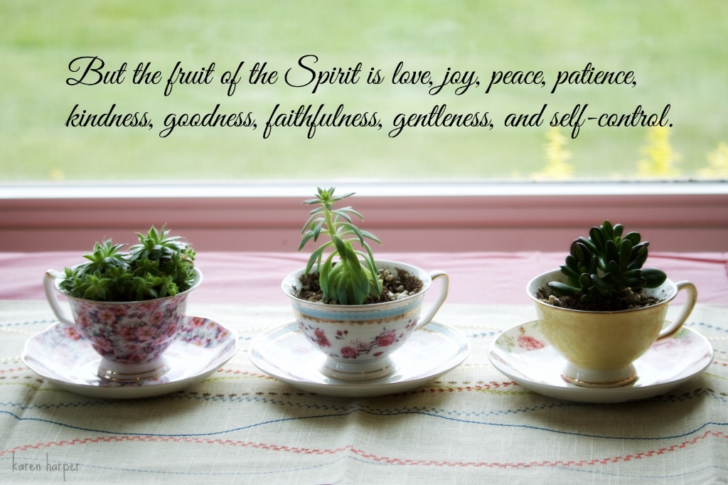 Tea Cups, Succulants, & Scripture