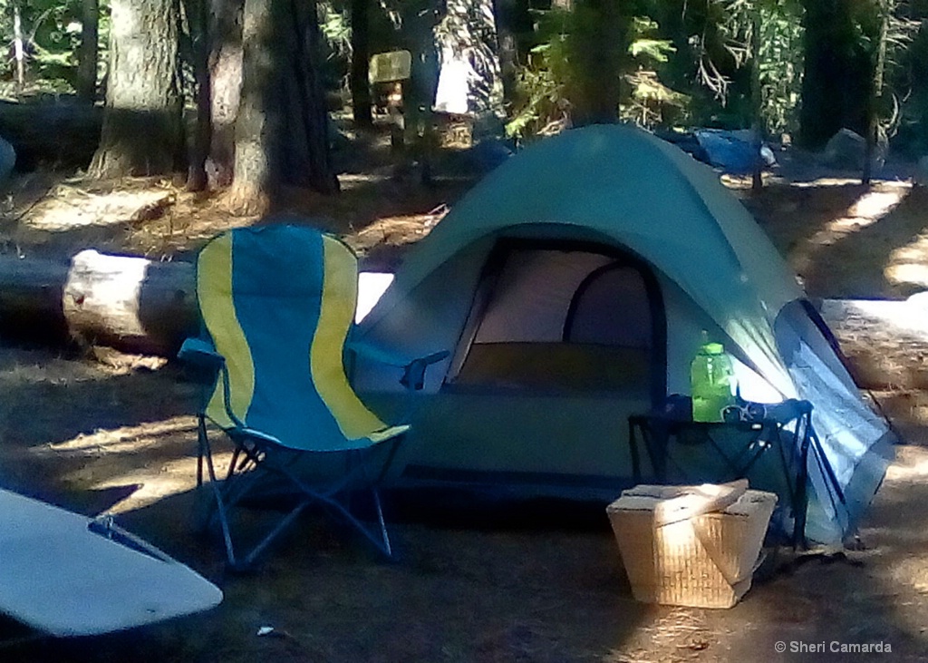 My lil Home in the woods