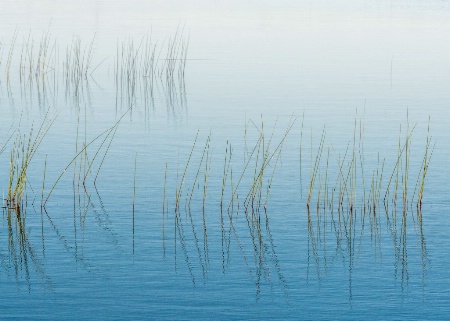 Morning On The Lake