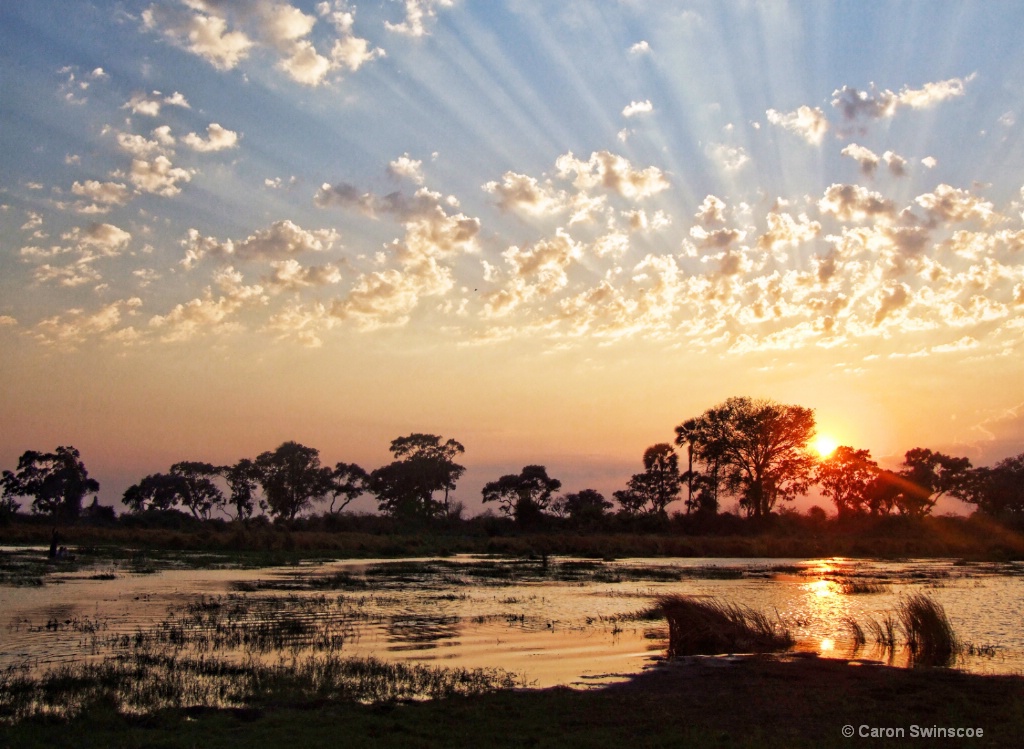 Okavango Skies