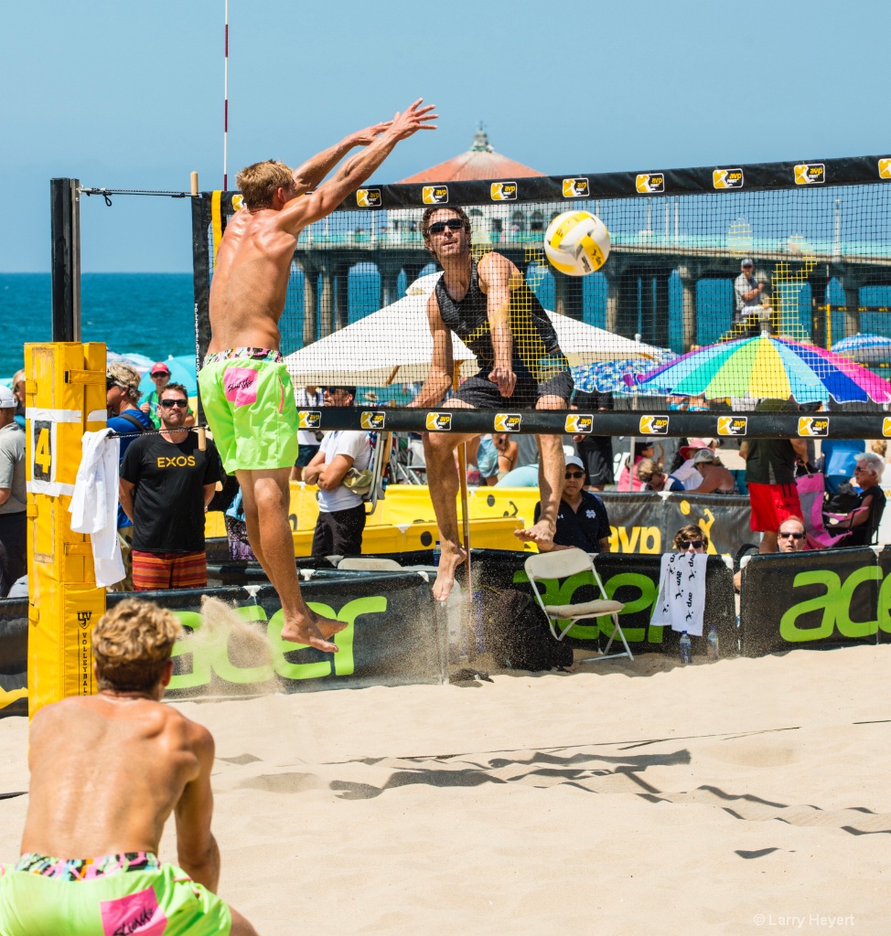 Action at the Beach - ID: 15444579 © Larry Heyert