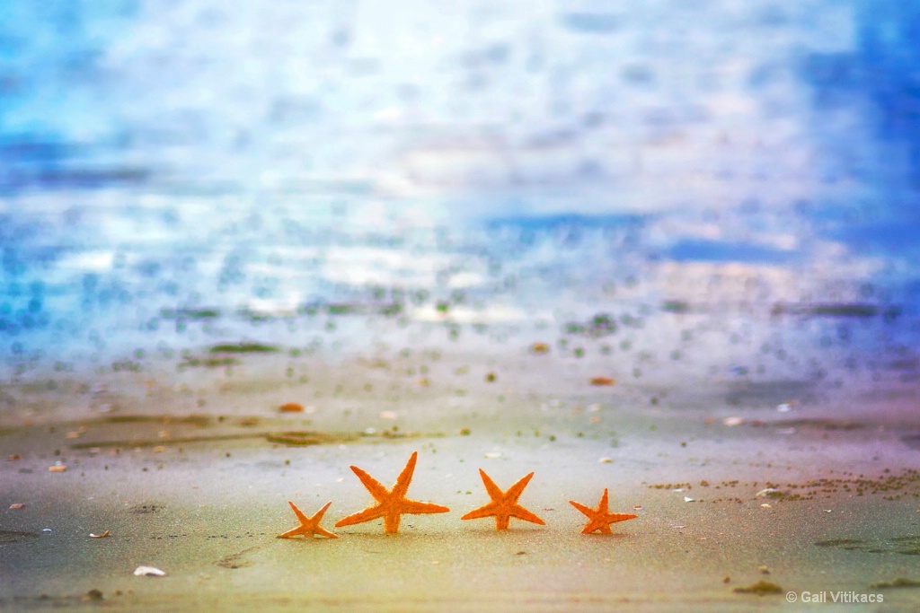 Beach Starletts