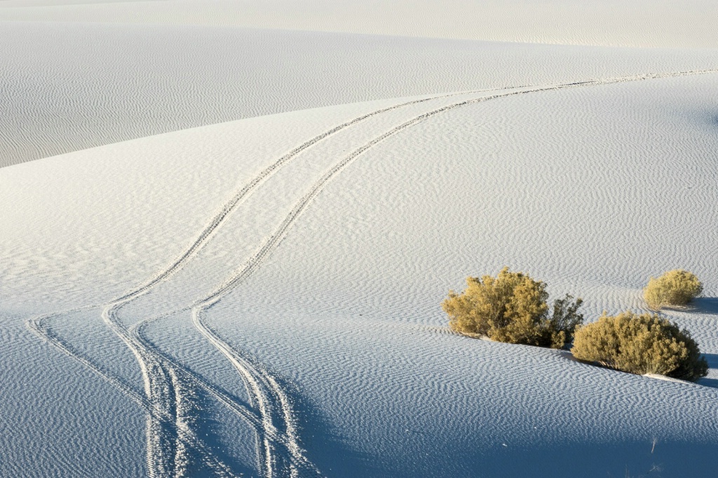 Tire Tracks in the Sand - ID: 15446085 © Sandra M. Shenk