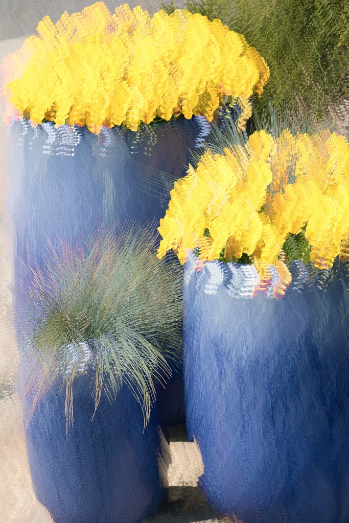 Yellow Flowers in Blue Vase - ID: 15446094 © Sandra M. Shenk