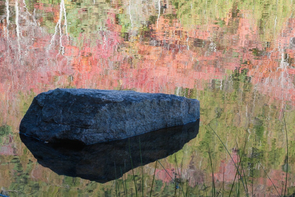 Blue Rock in Pond - ID: 15446105 © Sandra M. Shenk