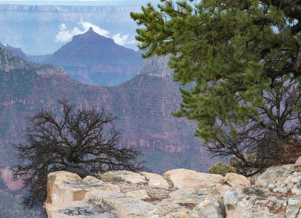 The North Rim - ID: 15446119 © Sandra M. Shenk