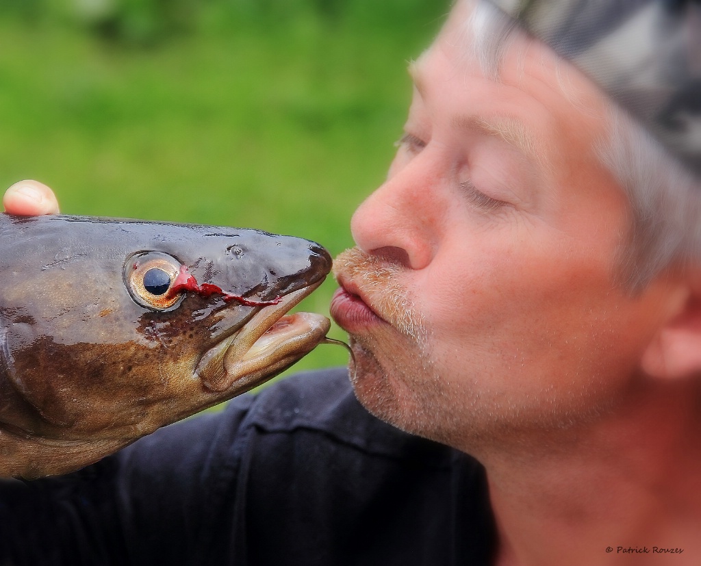 Kissing A Cod