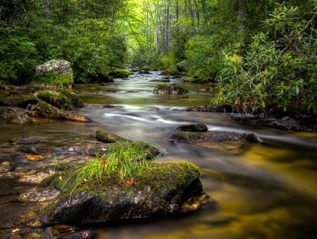 Looking Glass Creek