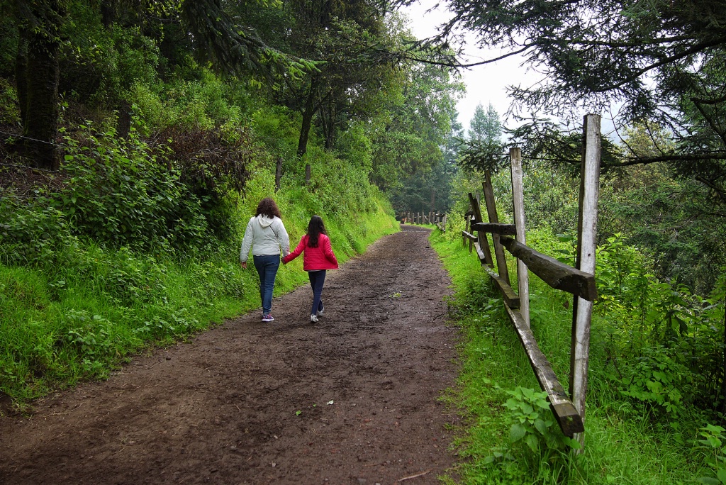 Morning walk