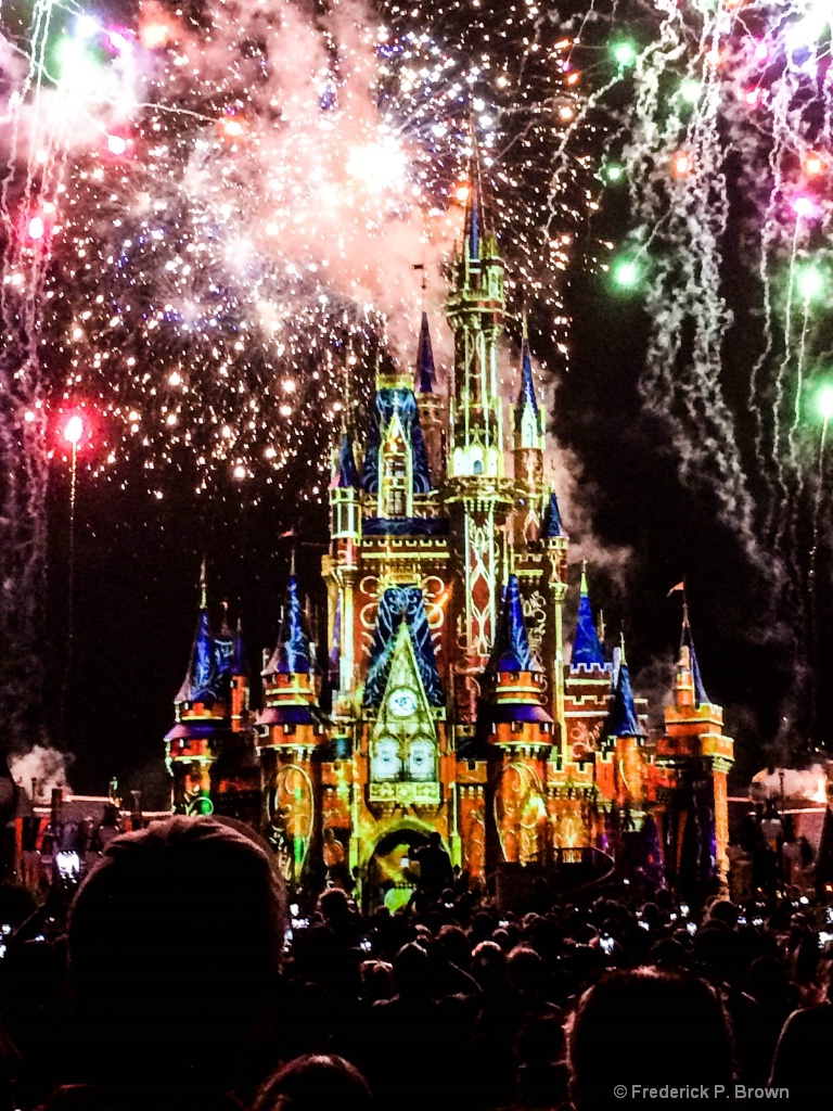 Fireworks at Disney1