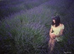 Lavender angel 