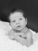 Little J