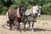 Two Horsepower