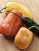 Fresh Harvest