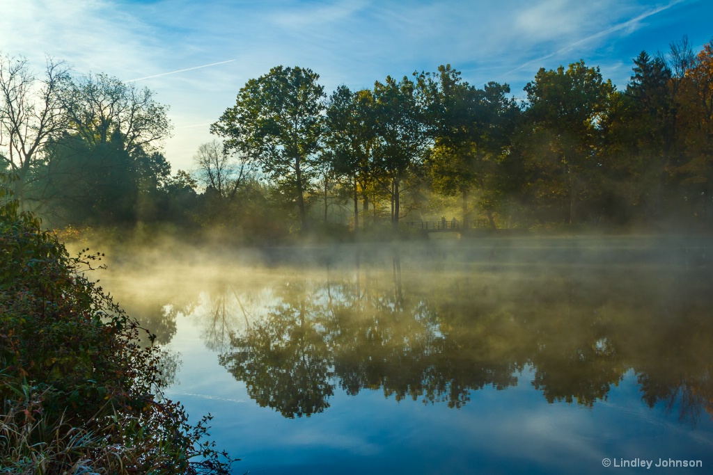 Morning Light