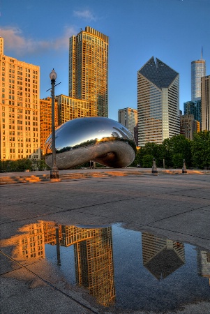 Chicago Puddle Reflection