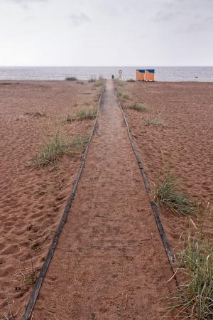 Path To The Empty Beach
