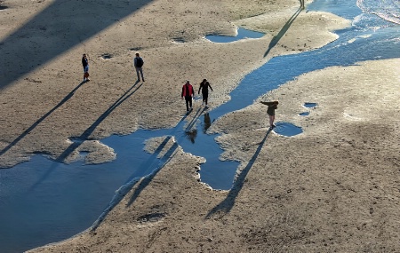 Long Shadows