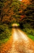 The Path To Fall