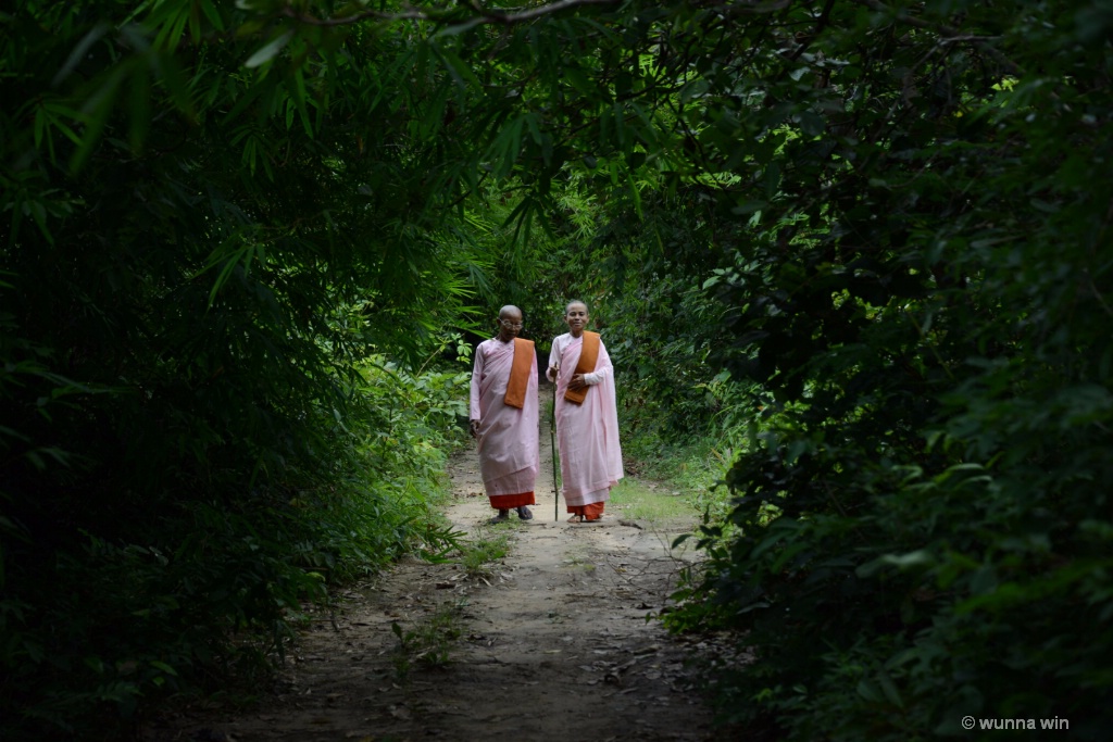 Nuns walking