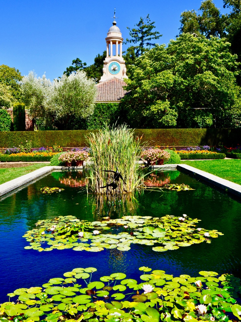 ClockTower and LilyPads - ID: 15454431 © Alice Kozar