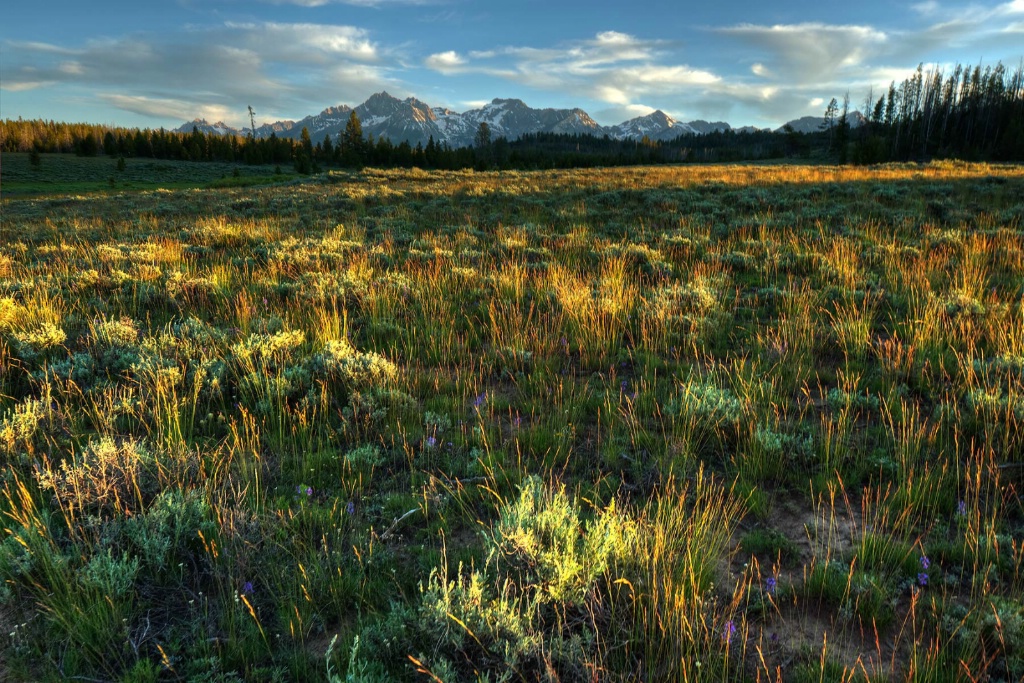 Last Light on the Sawtooths