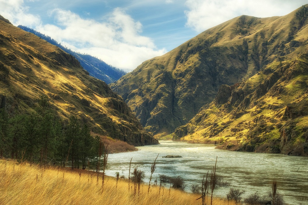 Golden Hell's Canyon