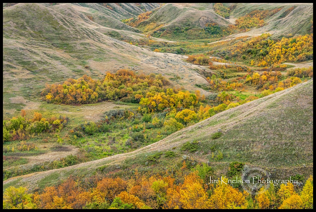Prairie Coulee Autumn, Saskatchewan - ID: 15454478 © Jim D. Knelson