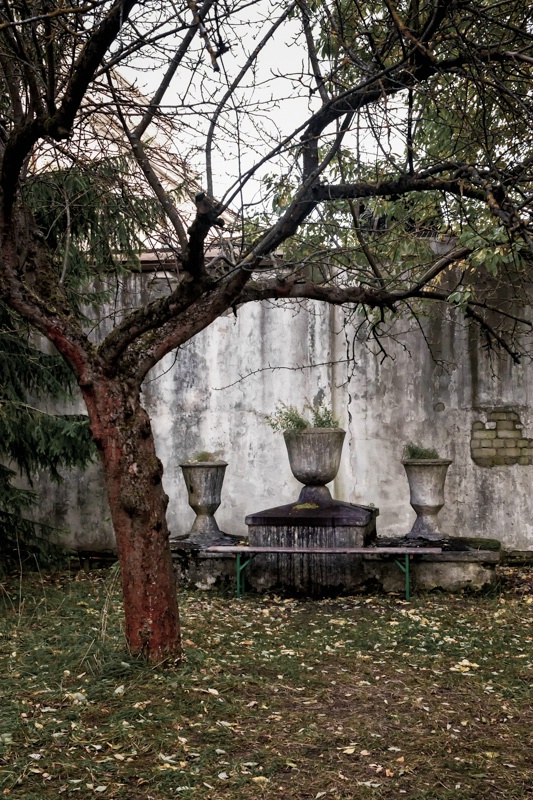 Altar by the tree