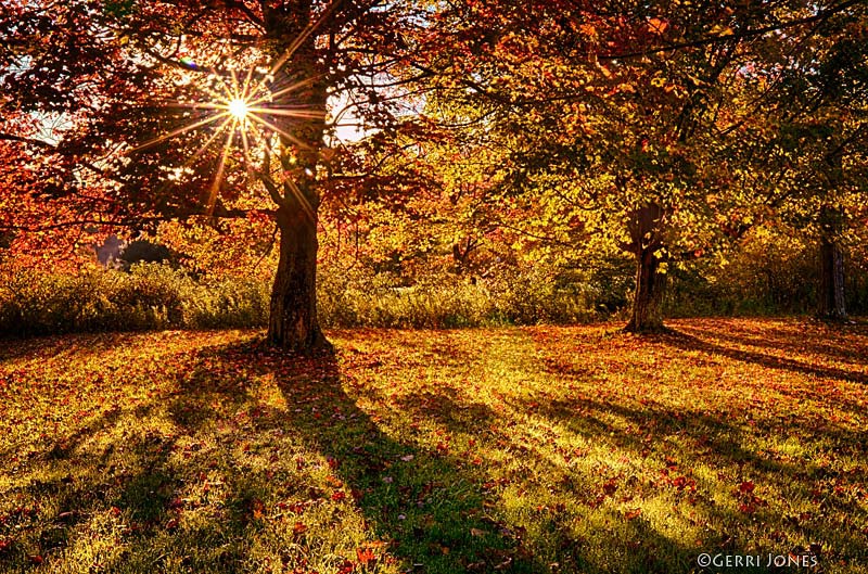 Autumn Morning Sunrise