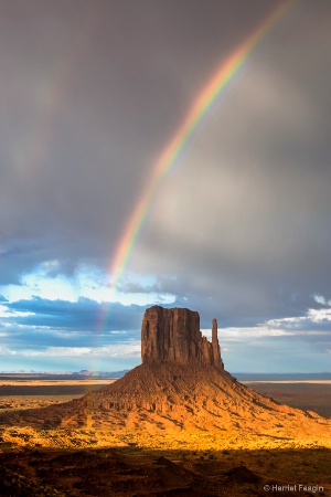 Lone Mitten At The End of The Rainbow