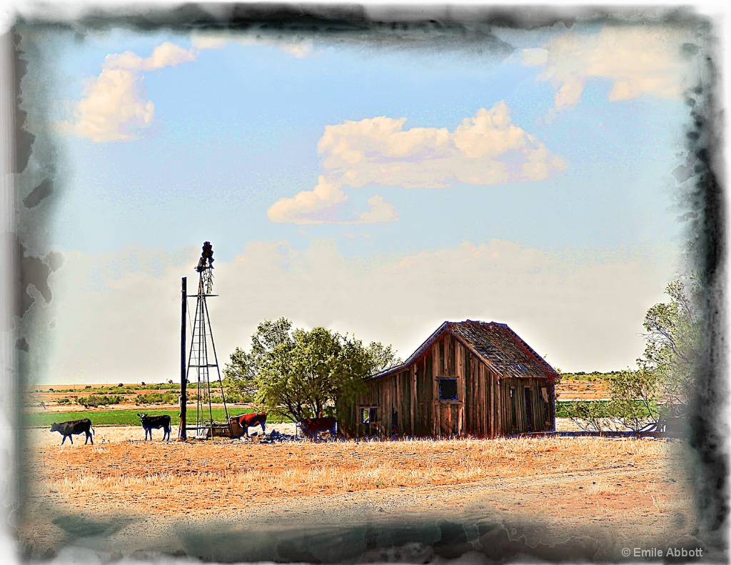 Texas windmill - ID: 15455461 © Emile Abbott