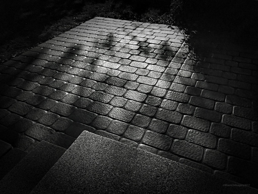 img19