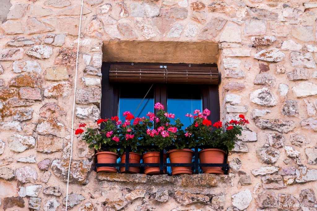 Window Box